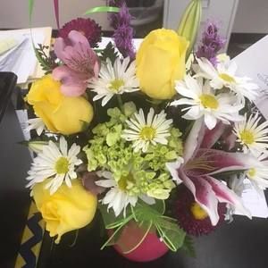 Meet your Posher, Audrey